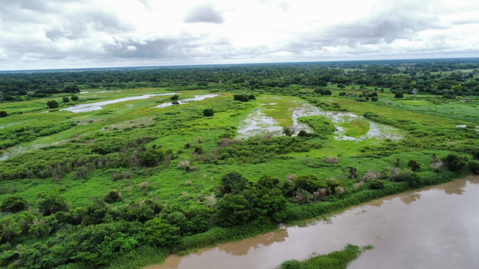 12 familias campesinas de Bolívar cultivan en un playón comunal