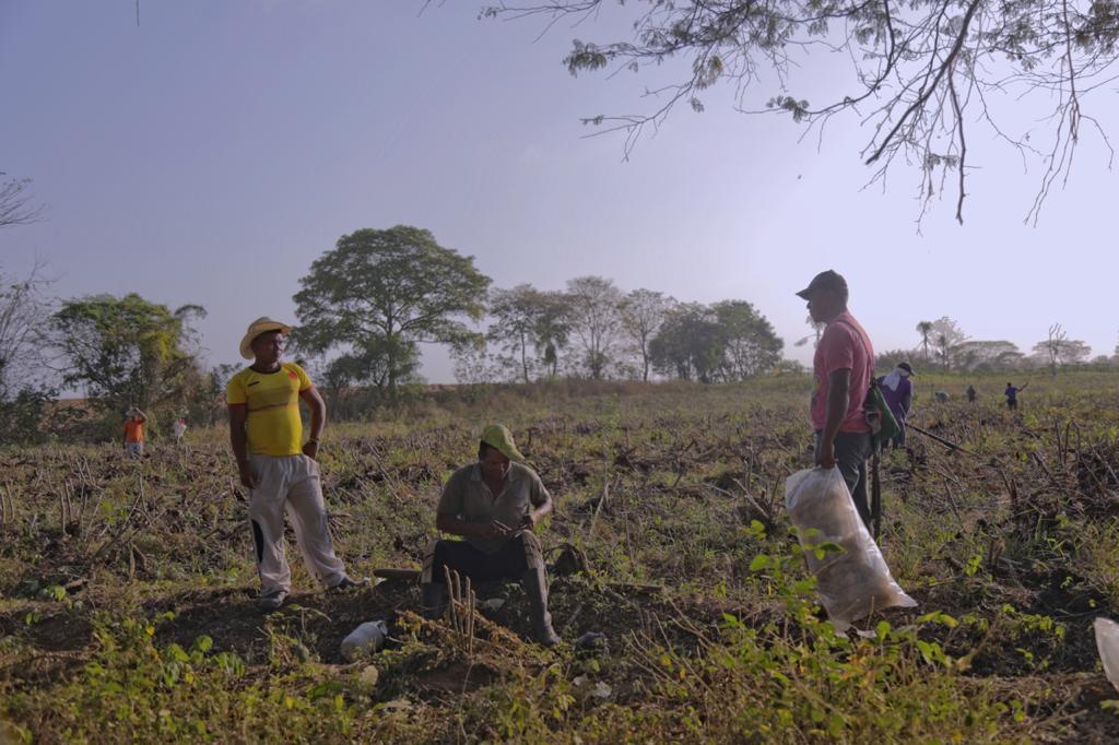 Aparecen tres campesinos trabajando la tierra. De fondo hay árboles y seis campesinos más.