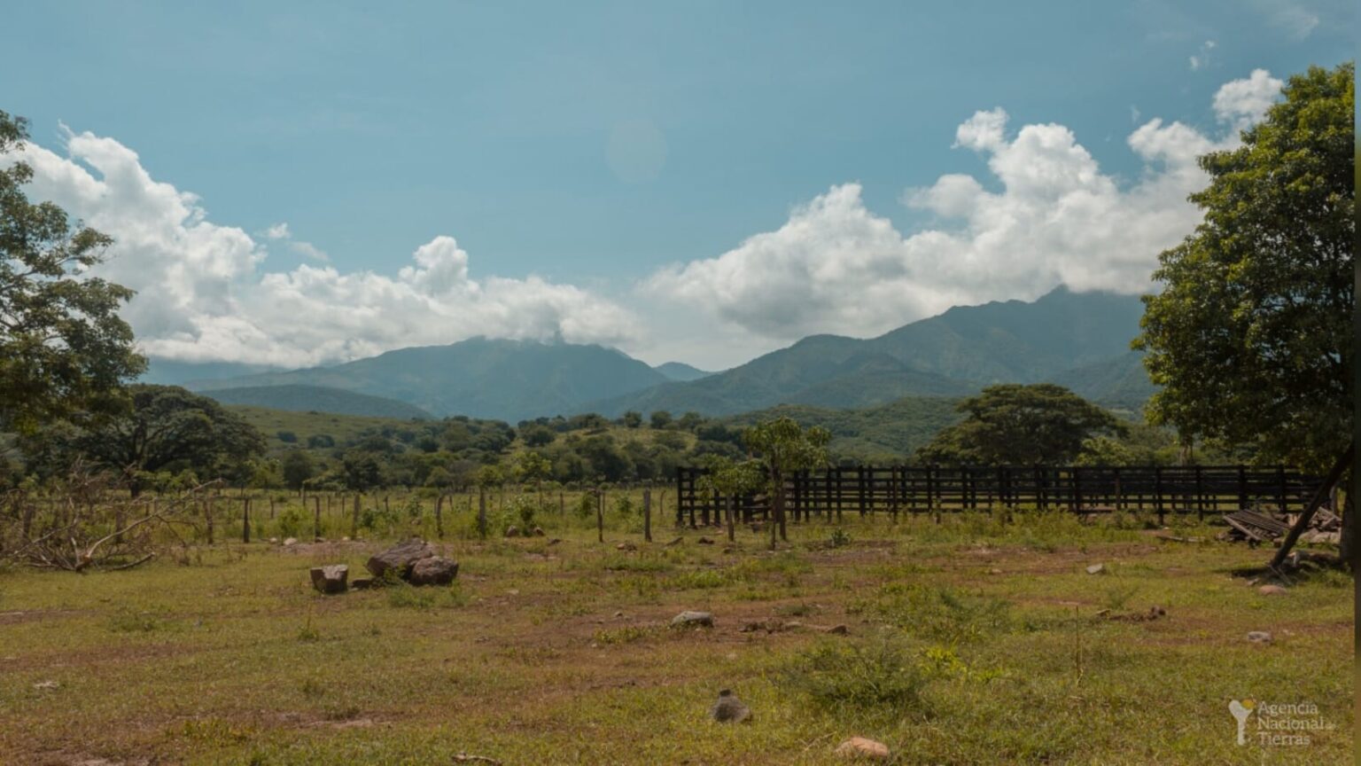 Fotografía de un terreno con zonas verdes y árboles en La Guajira.