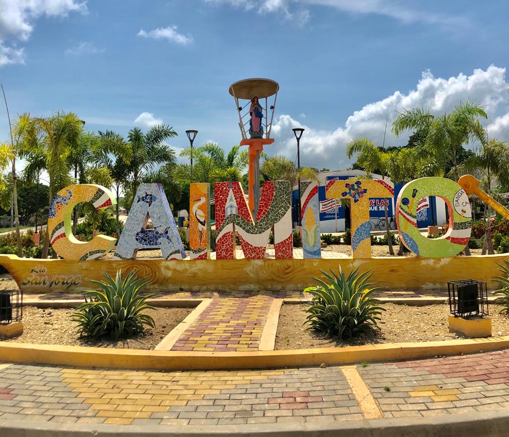 Palabra caimito en parque