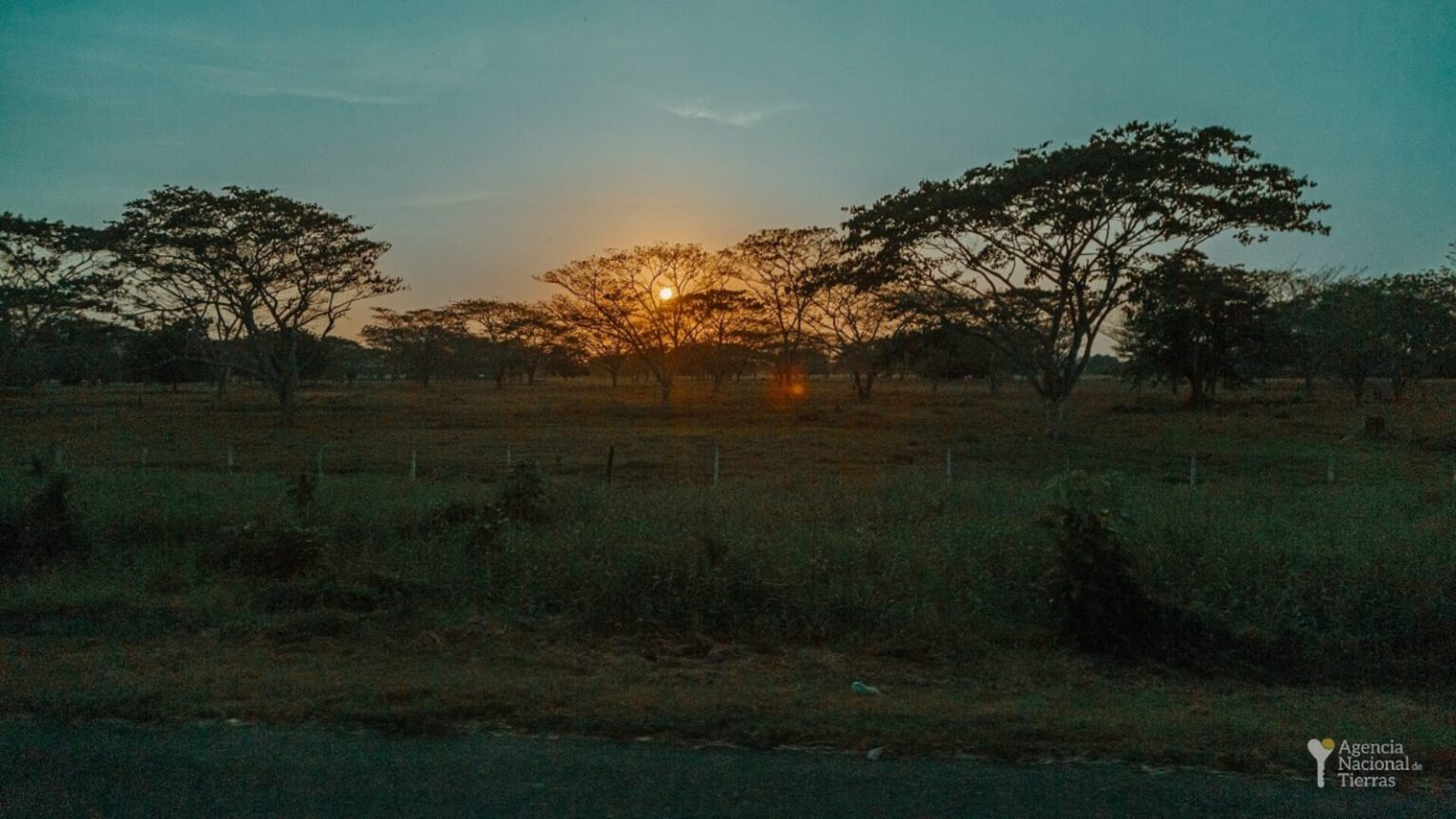Fotografía de un terreno con árboles y un atardecer detrás.