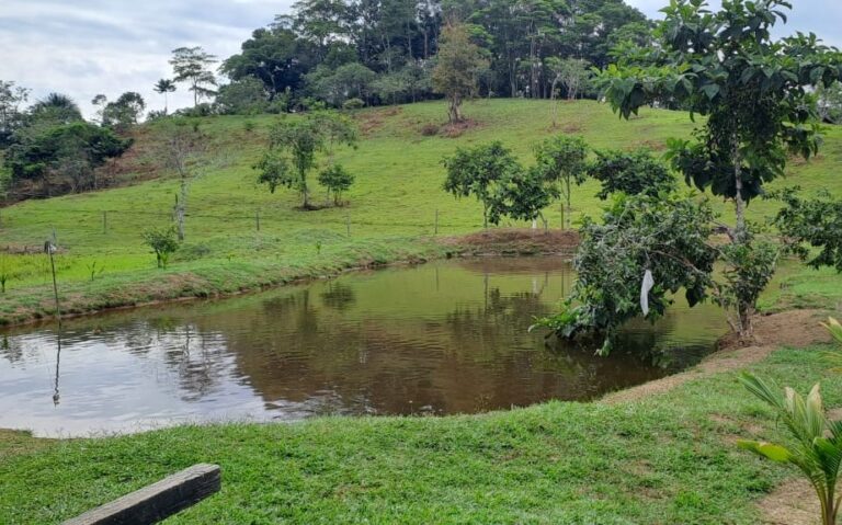 Embalse en algún lugar del Putumayo.
