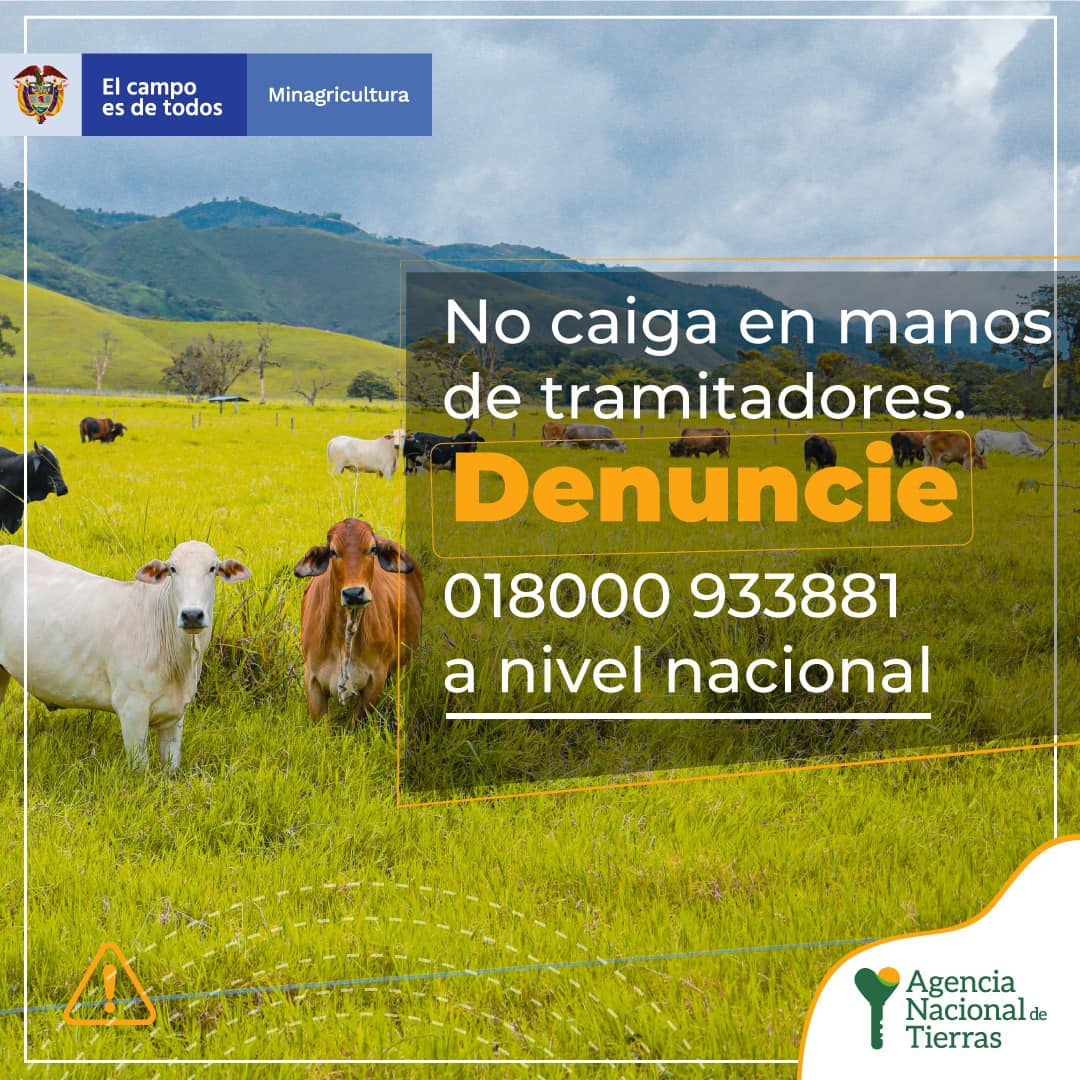 Anuncio informativo sobre una fotografía de ganado de color café, blanco y negro, el cual está sobre pasto muy verde y de fondo montañas verdes  y cielo nublado. El anuncio contiene el mensaje: NO CAIGAS EN MANOS DE TRAMITADORES. DENUNCIE 018000933881 A NIVEL NACIONAL.