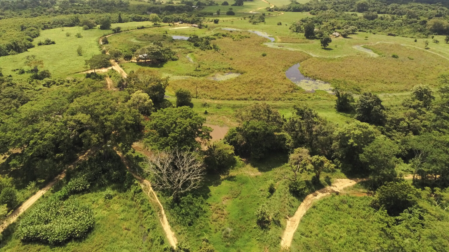 Fotografía de un terreno con zonas verdes y árboles en Calarcá.