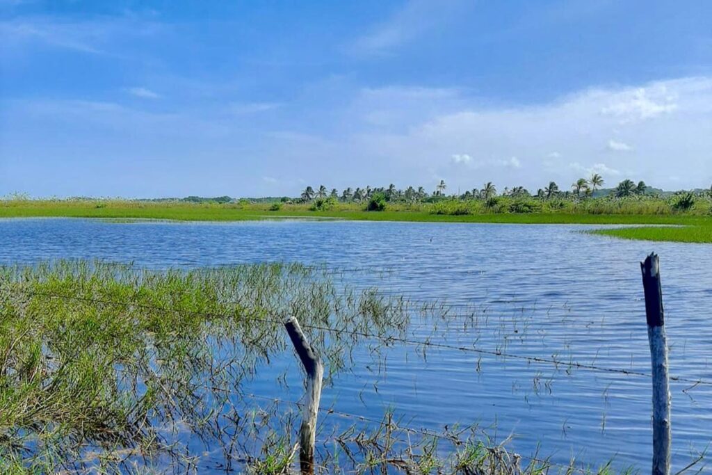 Lago en el terreno Hacienda Arroyo Grande