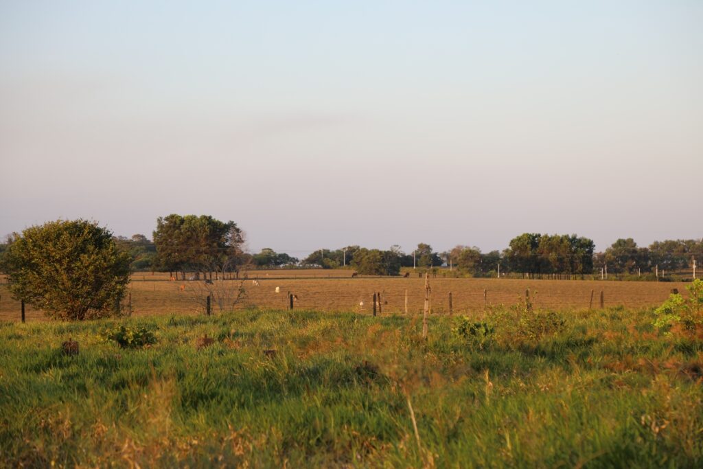 Terreno con zonas verdes y árboles en San Martín, Meta.