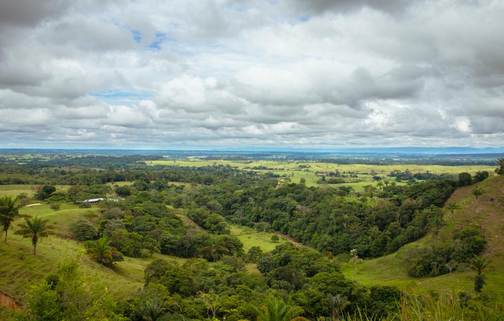 Panorama de montañas majestuosas, con árboles verdes que cubren su laderas y nubes blancas que flotan suavemente en el cielo azul.