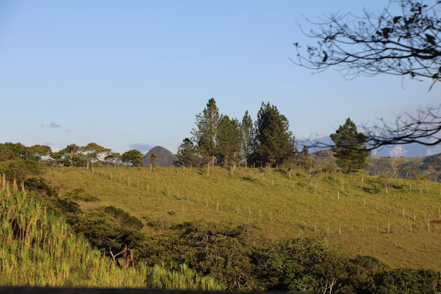 Fotografía de un terreno con zonas verdes y árboles.