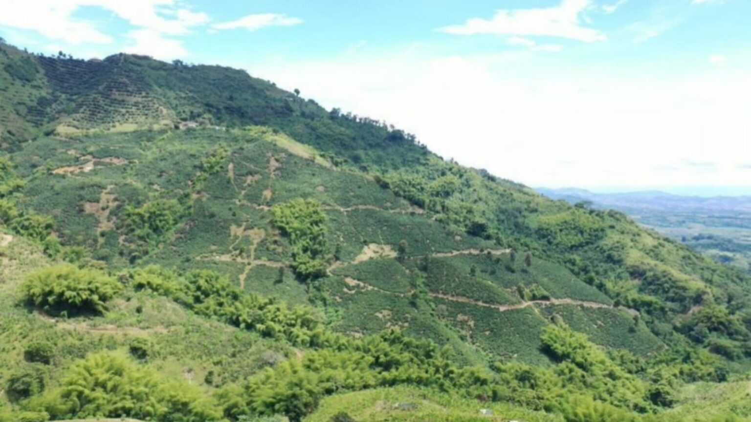 Fotografía del cerro de una montaña.
