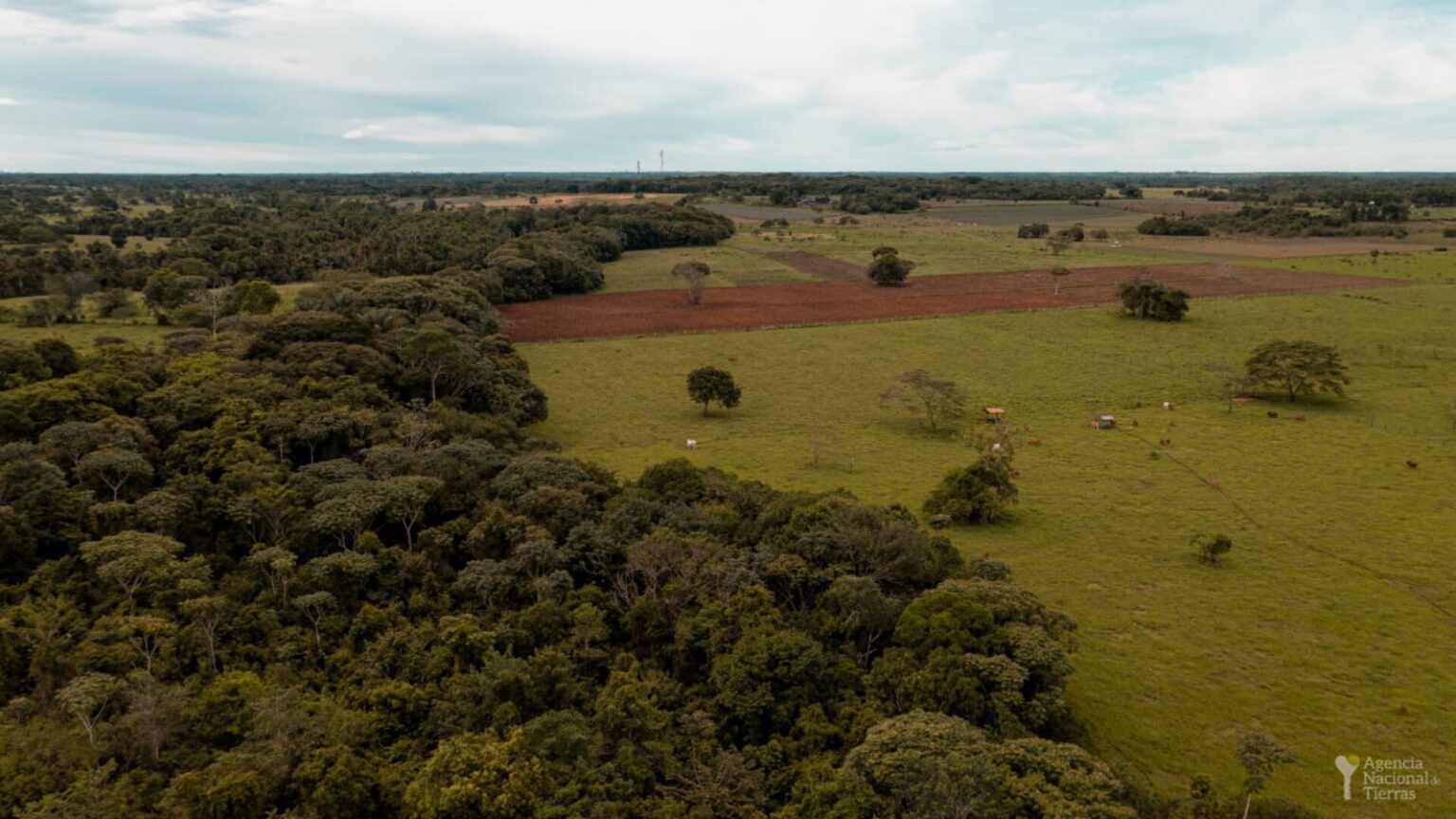 Fotografía de un terreno con zonas verdes y árboles.