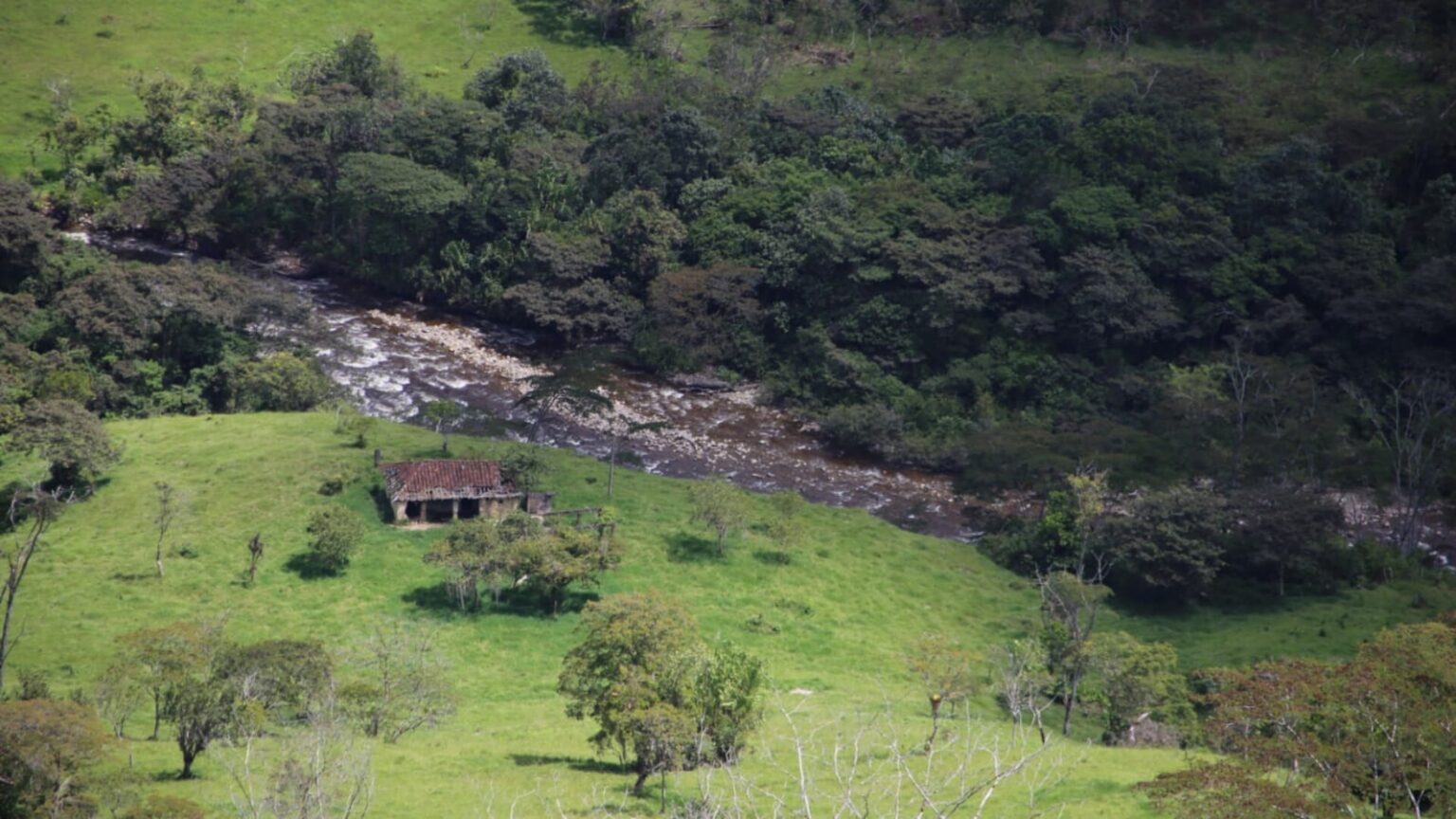 Fotografía de un terreno con árboles y montañas 
