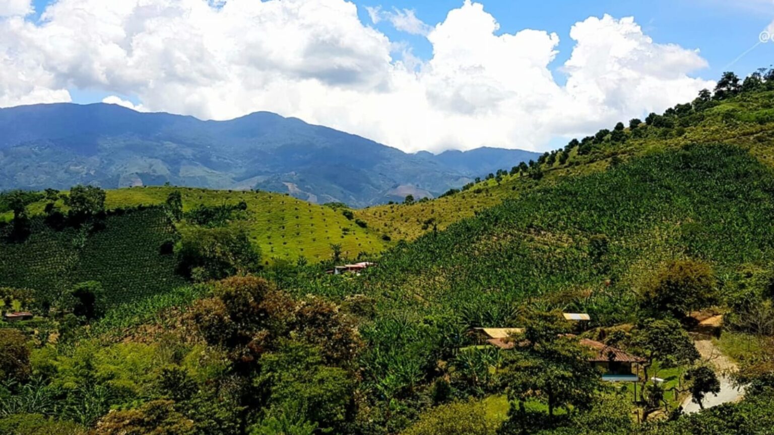 Fotografía de las montañas en algún lugar de Belén de Umbría, en Risaralda.