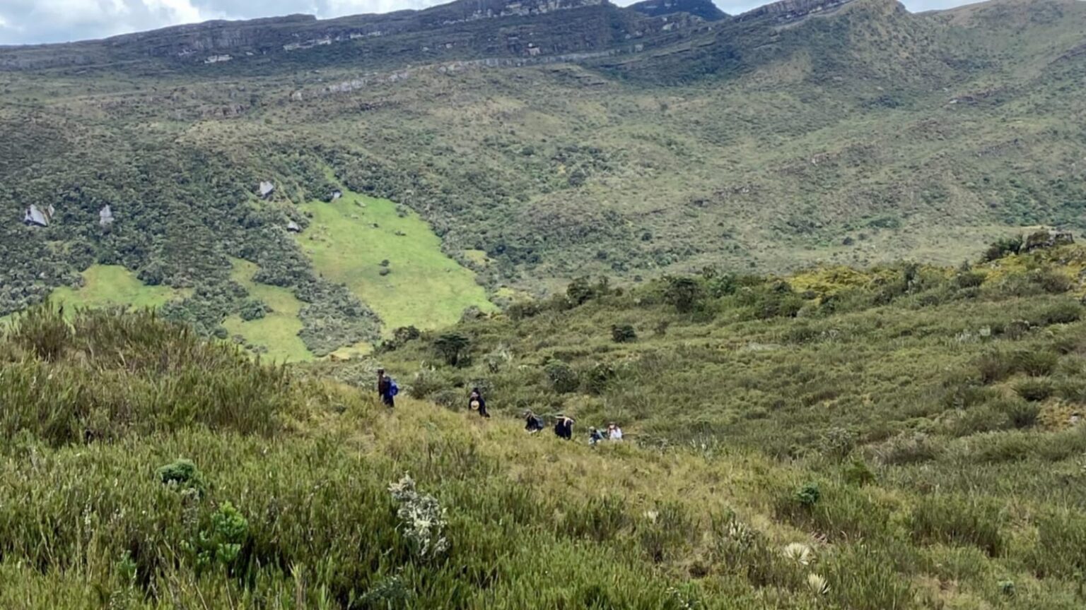 Fotografía de un terreno de montañas y árboles en Zonas de Reserva Forestal