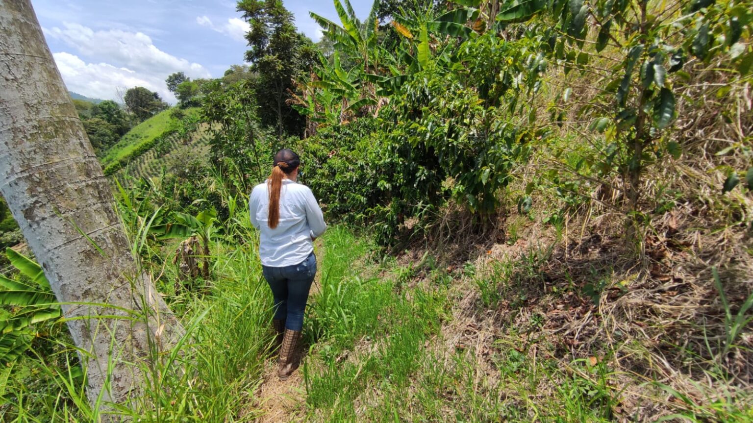 Mujer en un terreno verde del departamento de Caldas
