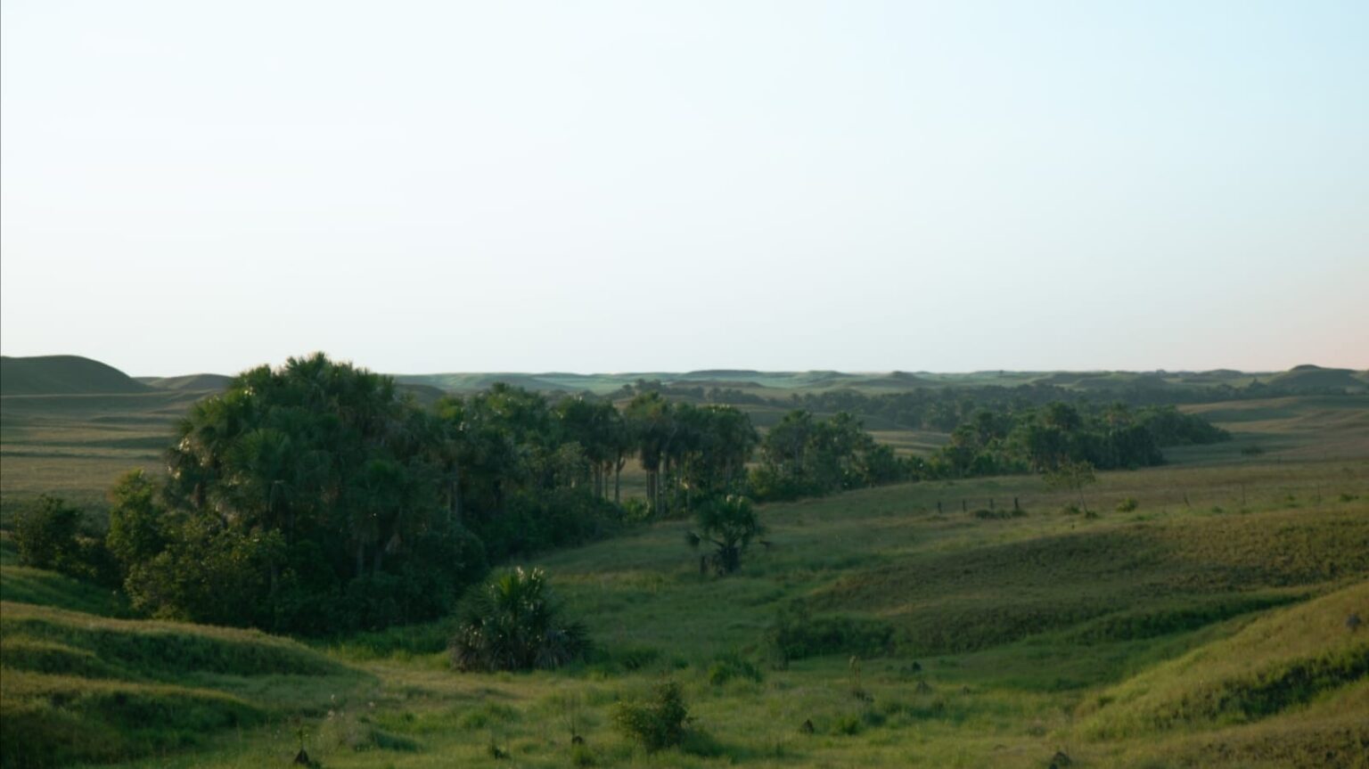 Paisaje natural con vegetación llamado Los Cachorros en Puerto Gaitán