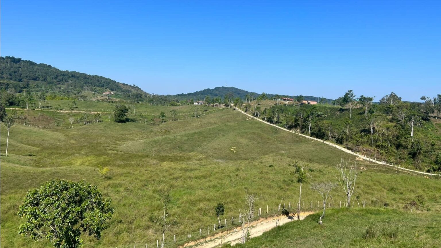 Vista de una ladera verde con un camino de tierra en Rioblanco, Tolima