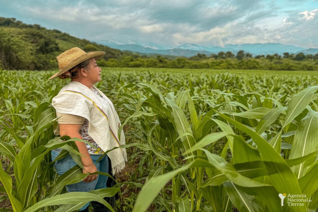Campesina en cultivo de maíz