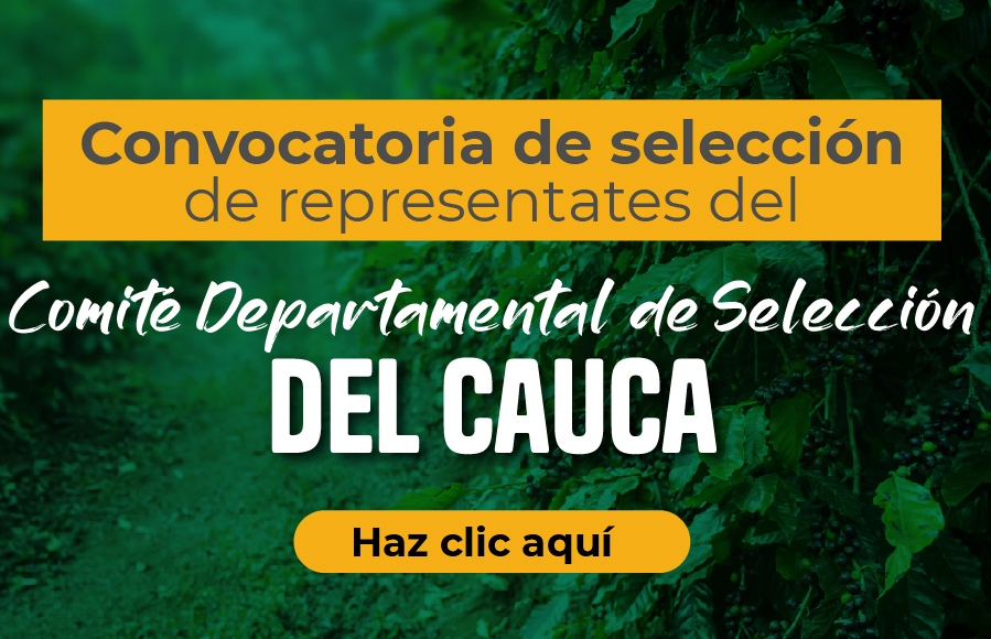 convocatoria-comite-representantes-cauca
