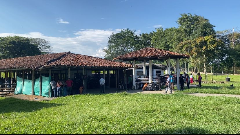 finca-la-tebaida