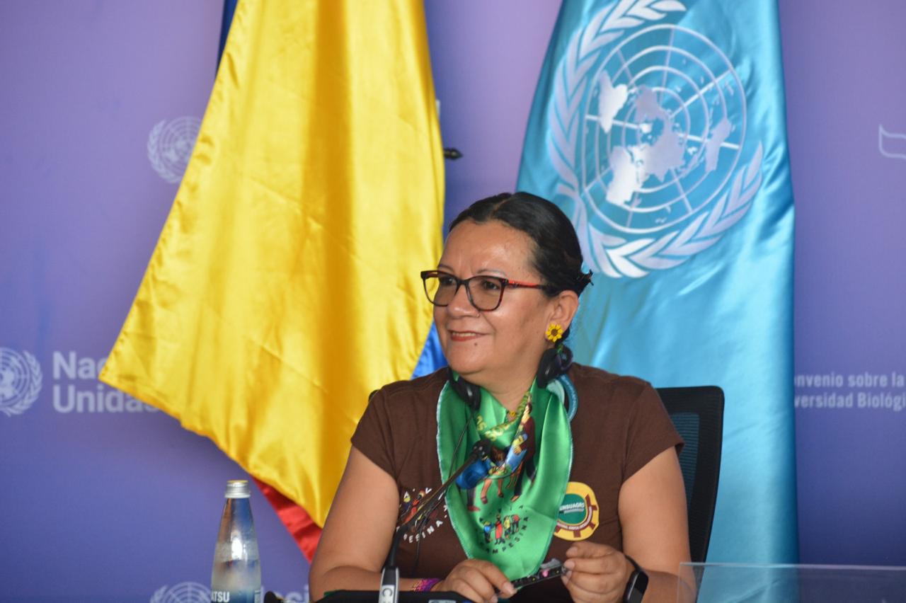 elsa-nury-en-conferencia-onu