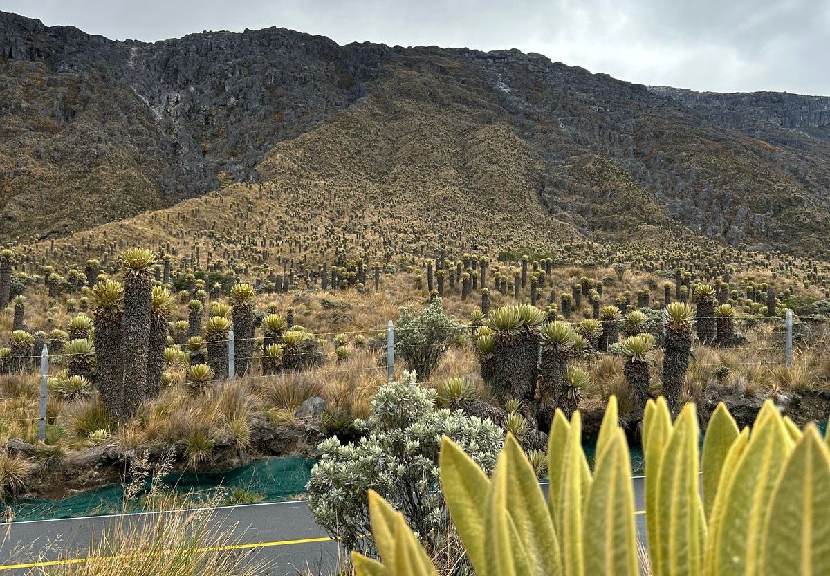 parque-nacional-natural-los-nevados
