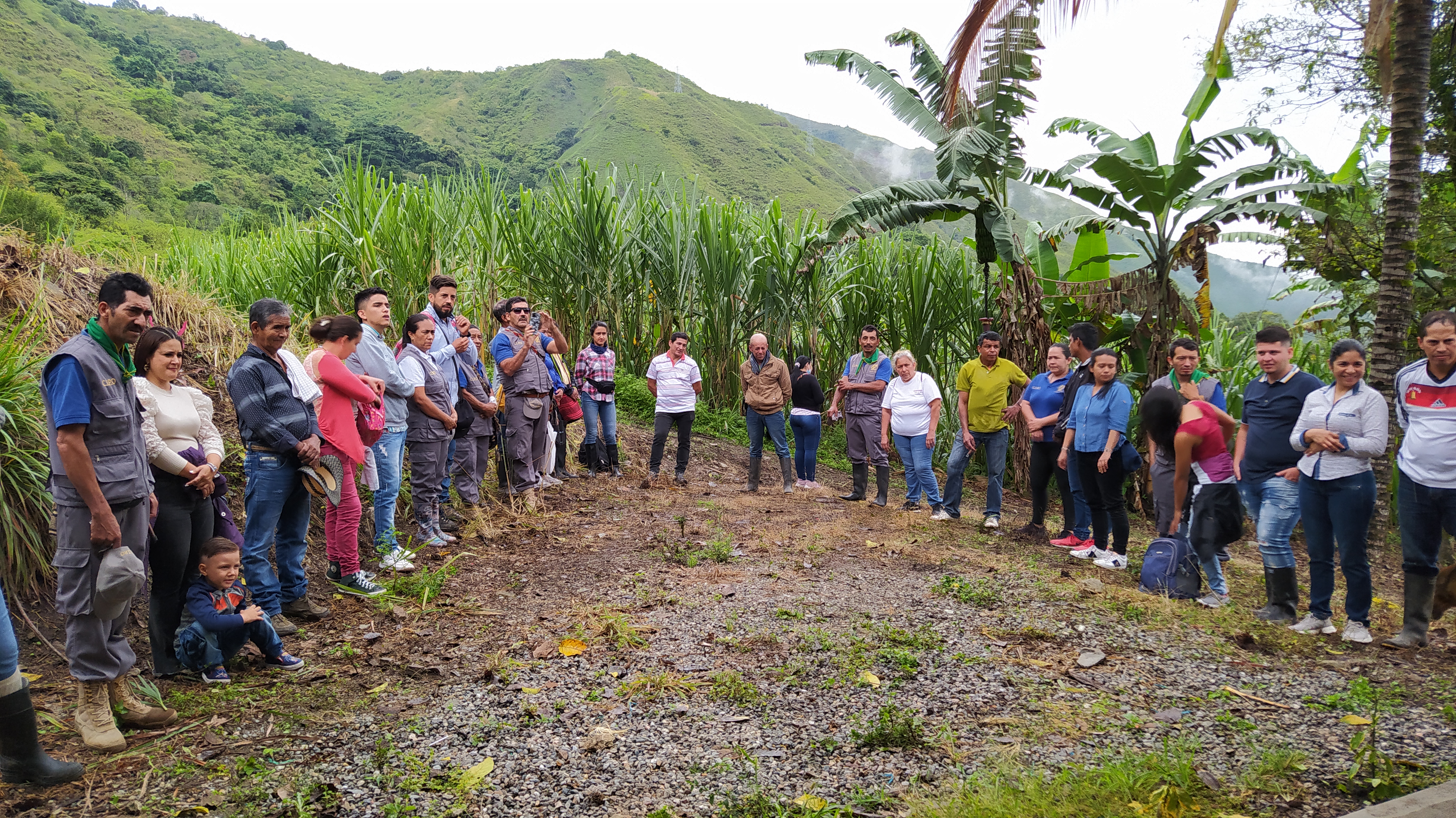grupo-de-campesino-con-montana-y-plataneras-alrededor