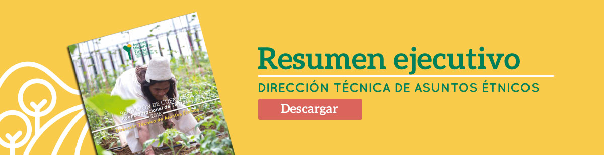 Banner Resumen Ejecutivo con botón de descarga 