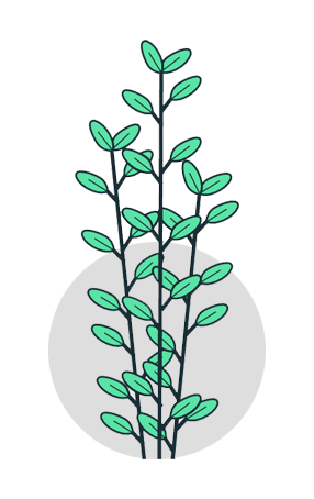 Ilustración de una planta