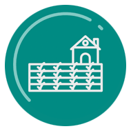 Icono de una casa y siembra