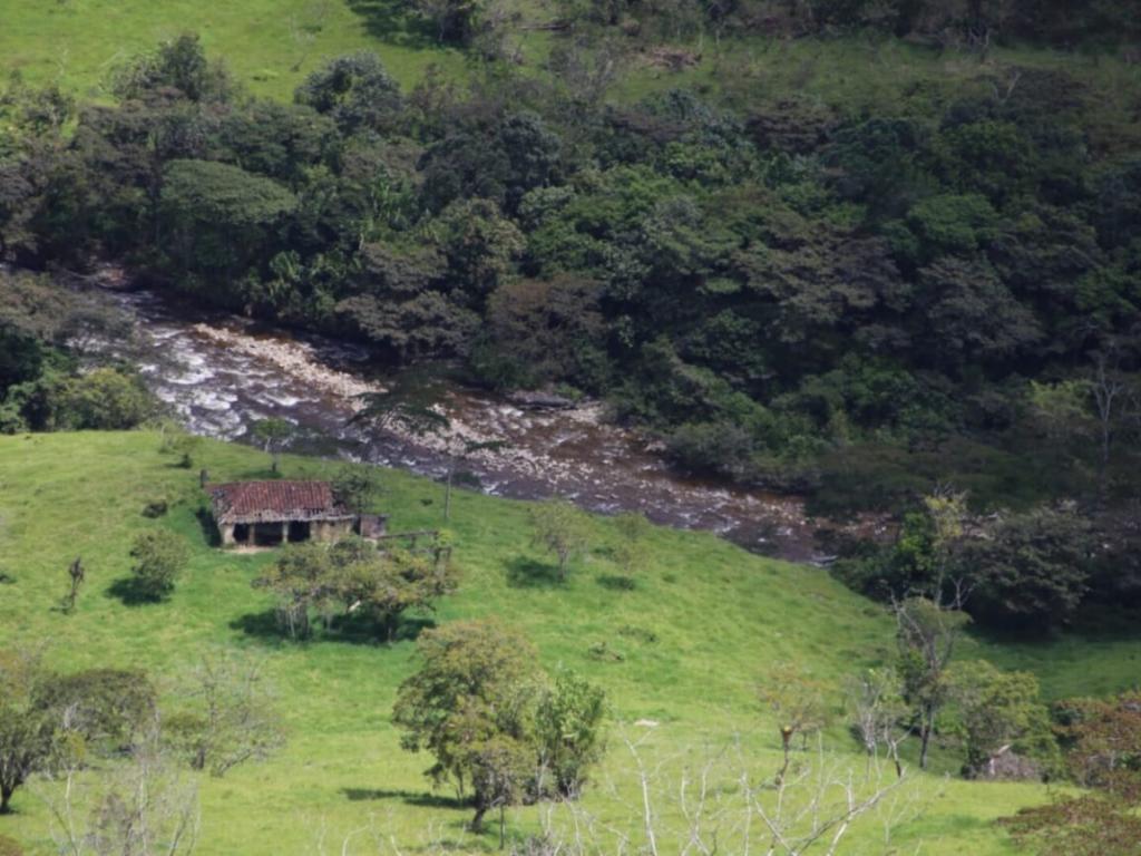Fotografía de un terreno con árboles y montañas