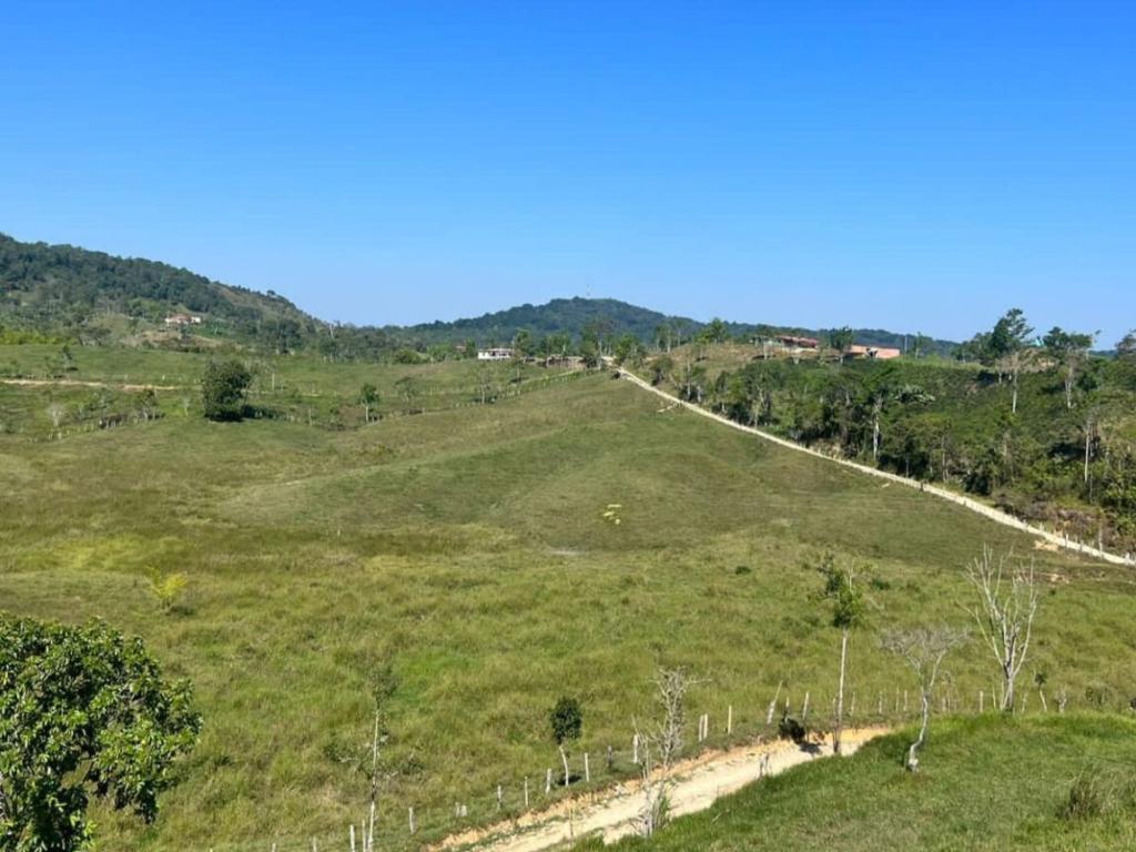 Vista de una ladera verde con un camino de tierra en Rioblanco, Tolima