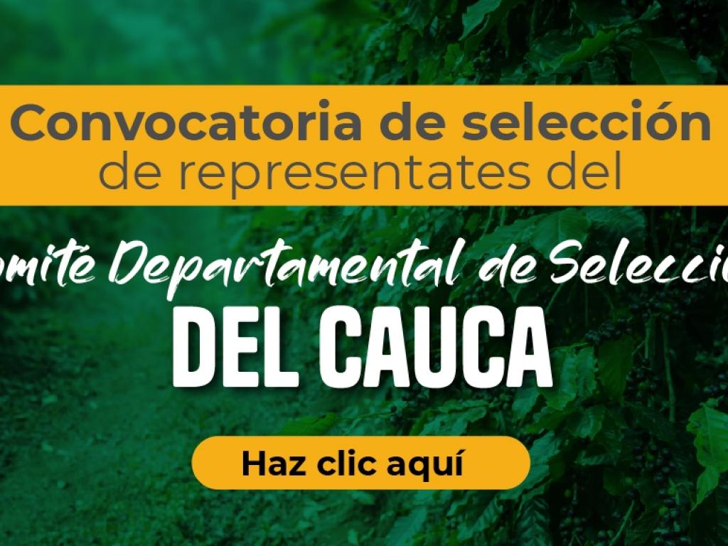 convocatoria-comite-representantes-cauca